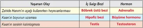 6. Sınıf Fen Bilimleri Ders Kitabı Sayfa 127 Cevapları 6. Sınıf Fen Bilimleri Ders Kitabı Sayfa 127 Cevapları