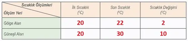 6. Sınıf Fen Bilimleri Ders Kitabı Sayfa 164 Cevapları