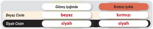 6. Sınıf Fen Bilimleri Ders Kitabı Sayfa 170 Cevapları 6. Sınıf Fen Bilimleri Ders Kitabı Sayfa 170 Cevapları