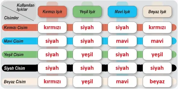 6. Sınıf Fen Bilimleri Ders Kitabı Sayfa 171 Cevapları 6. Sınıf Fen Bilimleri Ders Kitabı Sayfa 171 Cevapları