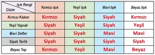 6. Sınıf Fen Bilimleri Ders Kitabı Sayfa 174 Cevapları