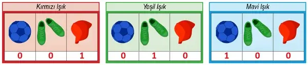 6. Sınıf Fen Bilimleri Ders Kitabı Sayfa 177 Cevapları