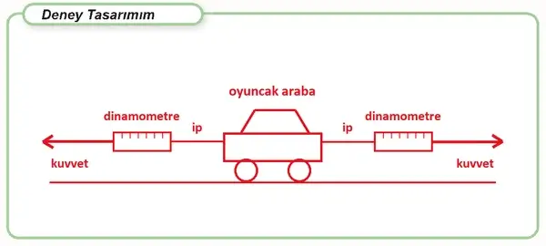 6. Sınıf Fen Bilimleri Ders Kitabı Sayfa 55-56-58-59-60-61 Cevapları 1. Kitap