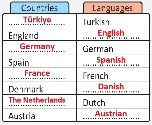 6. Sınıf İngilizce Ders Kitabı Sayfa 101 Cevapları