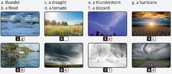 6. Sınıf İngilizce Ders Kitabı Sayfa 131 Cevapları MEB Yayınları