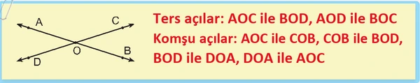 6. Sınıf Matematik Ders Kitabı Sayfa 14 Cevapları 2. Kitap 6. Sınıf Matematik Ders Kitabı Sayfa 14 Cevapları 2. Kitap