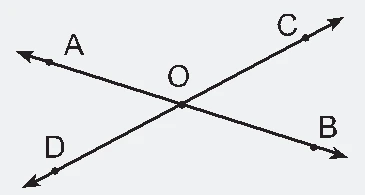 6. Sınıf Matematik Ders Kitabı Sayfa 15 Cevapları 2. Kitap 6. Sınıf Matematik Ders Kitabı Sayfa 15 Cevapları 2. Kitap