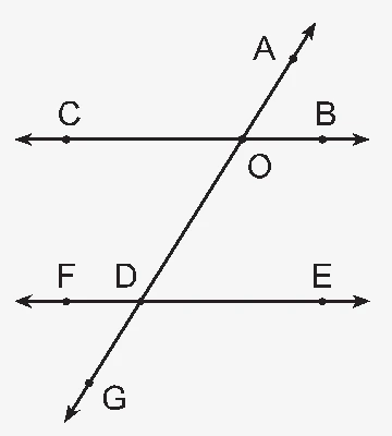 6. Sınıf Matematik Ders Kitabı Sayfa 17 Cevapları 2. Kitap 6. Sınıf Matematik Ders Kitabı Sayfa 17 Cevapları 2. Kitap