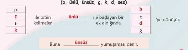 6. Sınıf Türkçe Ders Kitabı Sayfa 141 Cevapları 6. Sınıf Türkçe Ders Kitabı Sayfa 141 Cevapları