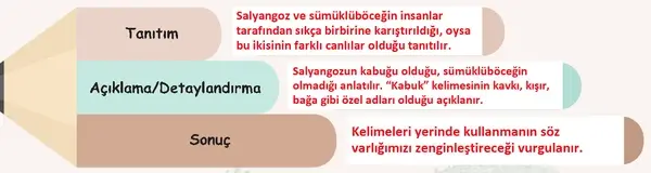 6. Sınıf Türkçe Ders Kitabı Sayfa 38 Cevapları