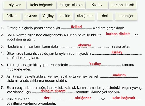 7. Sınıf Fen Bilimleri Ders Kitabı Sayfa 141 Cevapları 7. Sınıf Fen Bilimleri Ders Kitabı Sayfa 141 Cevapları