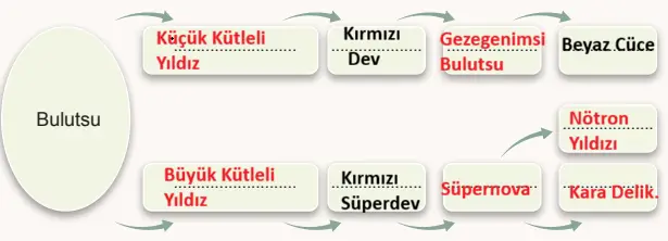 7. Sınıf Fen Bilimleri Ders Kitabı Sayfa 49 Cevapları