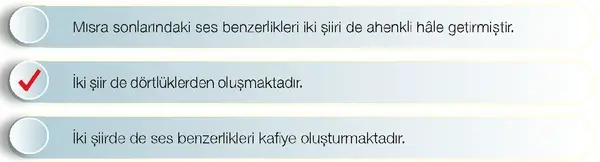 7. Sınıf Türkçe Ders Kitabı Sayfa 159 Cevapları