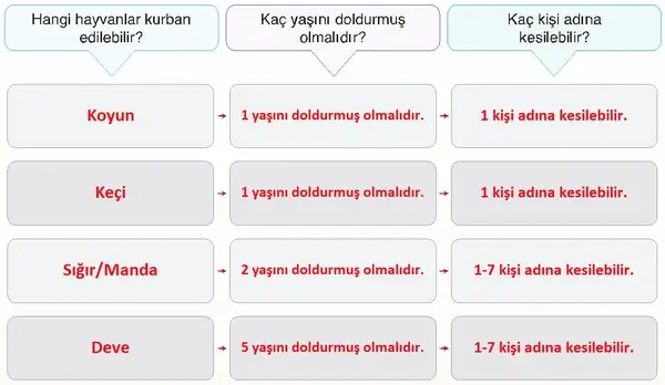 7. Sınıf Din Kültürü Ders Kitabı Sayfa 63 Cevapları 7. Sınıf Din Kültürü Ders Kitabı Sayfa 63 Cevapları