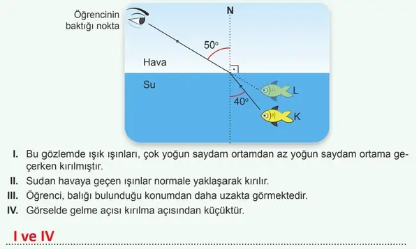 7. Sınıf Fen Bilimleri Ders Kitabı Sayfa 19-20-21-22 Cevapları 2. Kitap