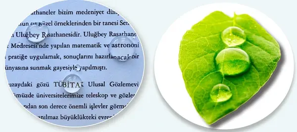 7. Sınıf Fen Bilimleri Ders Kitabı Sayfa 23-24-25-26 Cevapları 2. Kitap