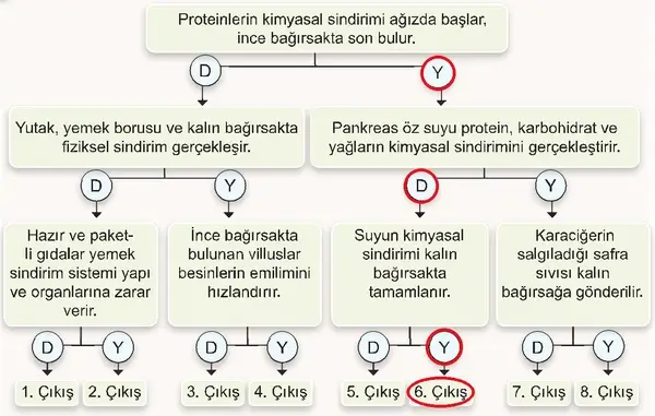 7. Sınıf Fen Bilimleri Ders Kitabı Sayfa 100 Cevapları 7. Sınıf Fen Bilimleri Ders Kitabı Sayfa 100 Cevapları