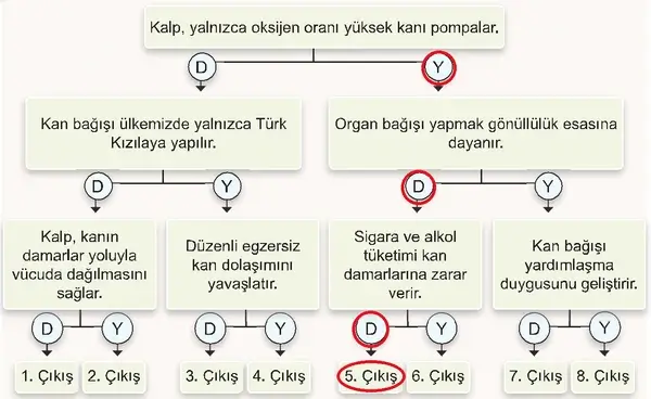 7. Sınıf Fen Bilimleri Ders Kitabı Sayfa 116 Cevapları