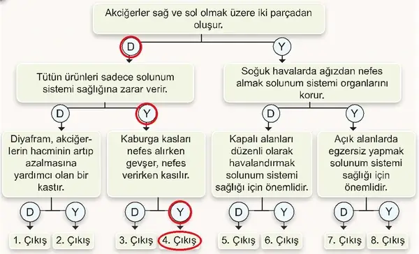 7. Sınıf Fen Bilimleri Ders Kitabı Sayfa 123-124-125-126-127-128 Cevapları 1. Kitap