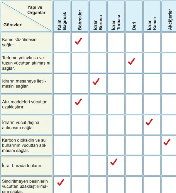 7. Sınıf Fen Bilimleri Ders Kitabı Sayfa 130-131-133-134 Cevapları 1. Kitap