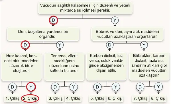 7. Sınıf Fen Bilimleri Ders Kitabı Sayfa 139 Cevapları 7. Sınıf Fen Bilimleri Ders Kitabı Sayfa 139 Cevapları