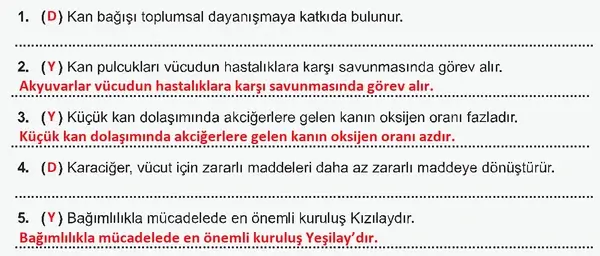 7. Sınıf Fen Bilimleri Ders Kitabı Sayfa 141-142-143-144 Cevapları 1. Kitap