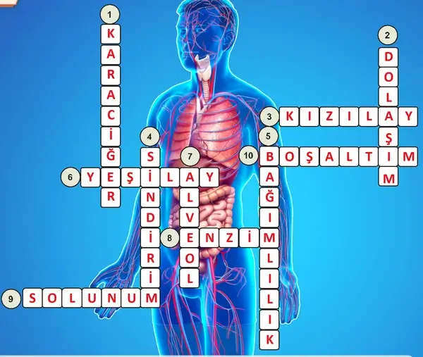 7. Sınıf Fen Bilimleri Ders Kitabı Sayfa 148 Cevapları 7. Sınıf Fen Bilimleri Ders Kitabı Sayfa 148 Cevapları
