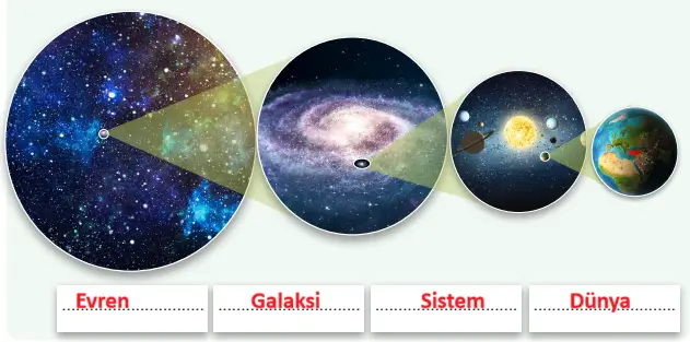7. Sınıf Fen Bilimleri Ders Kitabı Sayfa 48 Cevapları