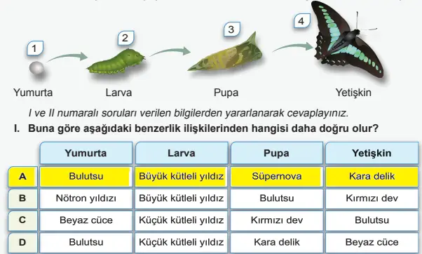 7. Sınıf Fen Bilimleri Ders Kitabı Sayfa 53 Cevapları 7. Sınıf Fen Bilimleri Ders Kitabı Sayfa 53 Cevapları