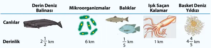 7. Sınıf Matematik Ders Kitabı Sayfa 54 Cevapları 7. Sınıf Matematik Ders Kitabı Sayfa 54 Cevapları