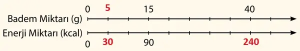 7. Sınıf Matematik Ders Kitabı Sayfa 56 Cevapları 2. Kitap