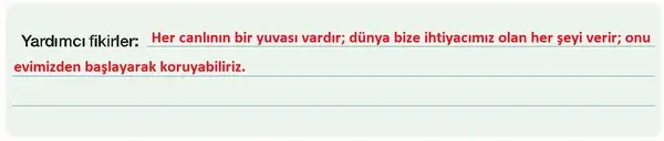 7. Sınıf Türkçe Ders Kitabı Sayfa 169 Cevapları MEB Yayınları