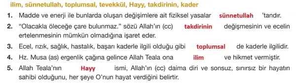 8. Sınıf Din Kültürü Ders Kitabı Sayfa 37 Cevapları