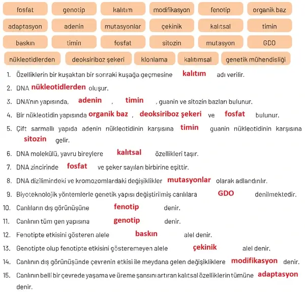 8. Sınıf Fen Bilimleri Ders Kitabı Sayfa 92 Cevapları Hecce Yayıncılık
