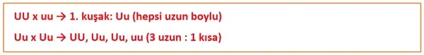8. Sınıf Fen Bilimleri Ders Kitabı Sayfa 69 Cevapları Hecce Yayıncılık