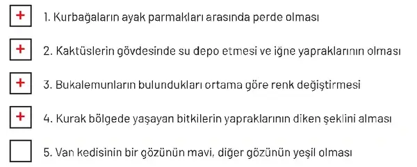 8. Sınıf Fen Bilimleri Ders Kitabı Sayfa 81 Cevapları Hecce Yayıncılık