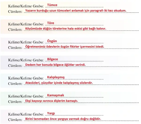 8. Sınıf Türkçe Ders Kitabı Sayfa 113-114-115-116 Cevapları