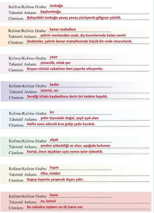 8. Sınıf Türkçe Ders Kitabı Sayfa 15 Cevapları