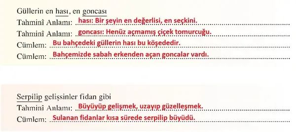 8. Sınıf Türkçe Ders Kitabı Sayfa 172 Cevapları 8. Sınıf Türkçe Ders Kitabı Sayfa 172 Cevapları