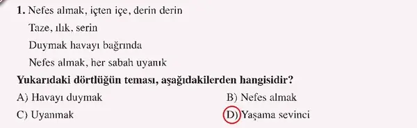 8. Sınıf Türkçe Ders Kitabı Sayfa 224 Cevapları