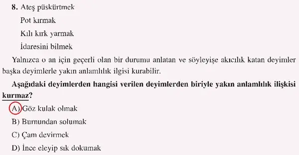 8. Sınıf Türkçe Ders Kitabı Sayfa 225 Cevapları Hecce Yayıncılık