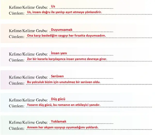 8. Sınıf Türkçe Ders Kitabı Sayfa 252 Cevapları