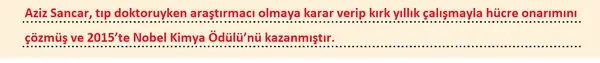 8. Sınıf Türkçe Ders Kitabı Sayfa 279 Cevapları
