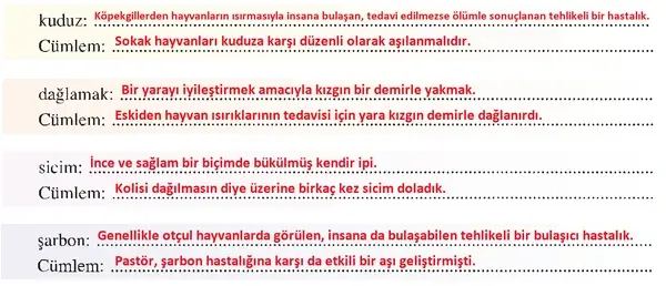 8. Sınıf Türkçe Ders Kitabı Sayfa 286 Cevapları 8. Sınıf Türkçe Ders Kitabı Sayfa 286 Cevapları